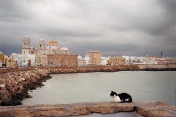 Van Cádiz naar Vejer de la Frontera - Guardia Civil - kat in Cádiz