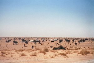 Van Bin Lanouar naar Chami - Krankzinnige klucht - nomadententen Mauritanië