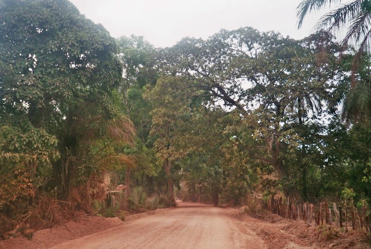 Ziguinchor - Ontbrekende paspoortstempel - jungleweg in Casamanche