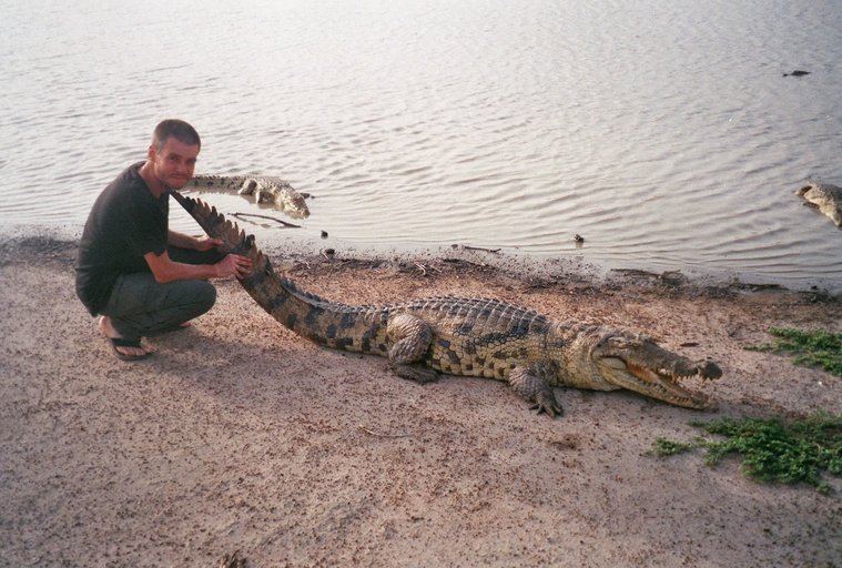 Krokodillen bij Sabou
