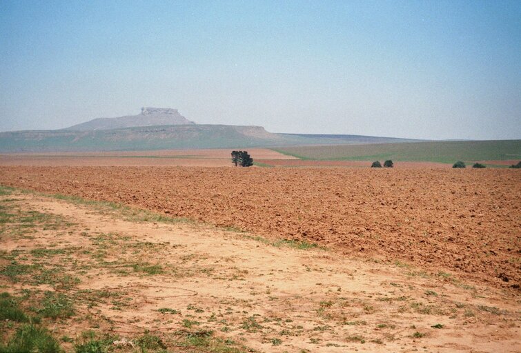 Landschap in Zuid-Afrika