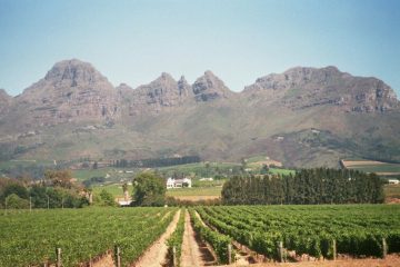 Stellenbosch - wijnproeverijen